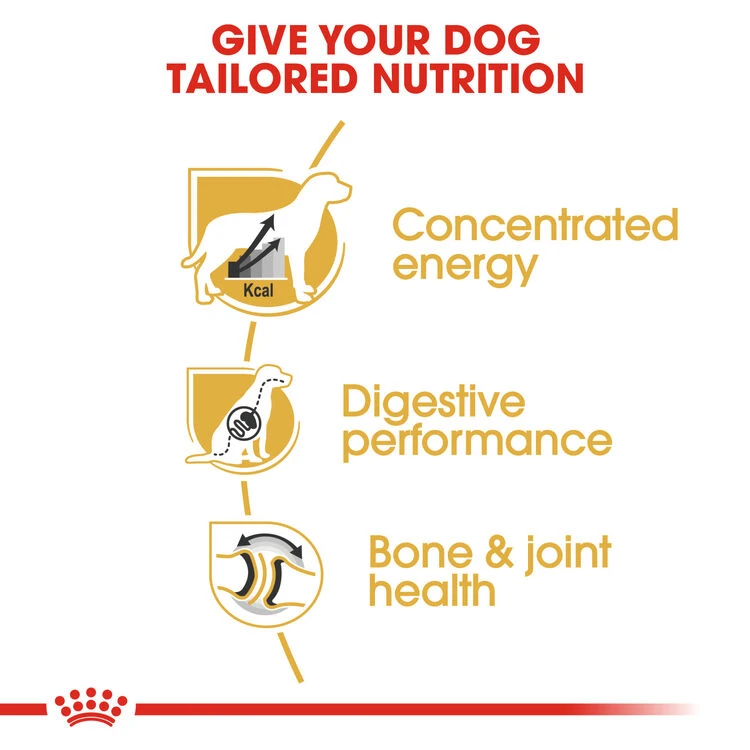 ROYAL CANIN® Great Dane Adult Dry Dog Food 7 ROYAL CANIN® Great Dane Adult Dry Dog Food - Image 5
