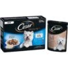 48 X 100g Cesar Senior 10+ Deliciously Fresh Dog Food Pouches Mixed Selection In Jelly 1 48 X 100g Cesar Senior 10+ Deliciously Fresh Dog Food Pouches Mixed Selection In Jelly -Danish Design || Scruffs || Great&Small Sales fm 2019 11 28 08 41 07 78145 images