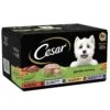 Cesar Garden Terrine Mixed Selection In Loaf Dog Food 1 Cesar Garden Terrine Mixed Selection In Loaf Dog Food -Danish Design || Scruffs || Great&Small Sales fm 2021 05 20 08 49 52 47942 images