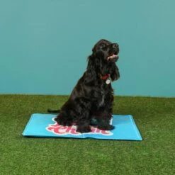 Just Chillin' Dog Cooling Mat -Danish Design || Scruffs || Great&Small Sales fm 2021 06 10 04 34 07 24513 images