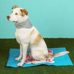 Just Chillin' Dog Cooling Mat