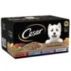 Cesar Hearty Casserole Mixed Selection Wet Dog Food -Danish Design || Scruffs || Great&Small Sales fm 2021 07 02 09 58 45 63568 images