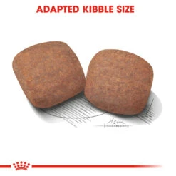 ROYAL CANIN® Giant Adult Dry Dog Food -Danish Design || Scruffs || Great&Small Sales fuxqat5i7eetxmdje12c