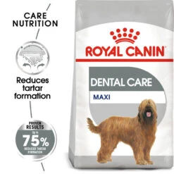 ROYAL CANIN® Maxi Large Breed Dental Care Adult Dry Dog Food -Danish Design || Scruffs || Great&Small Sales gnsltjnfre88kvm2wrxi