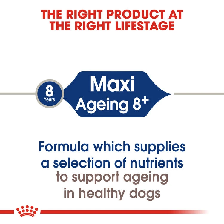 ROYAL CANIN® Maxi Large Breed Ageing 8+ Dry Dog Food 5 ROYAL CANIN® Maxi Large Breed Ageing 8+ Dry Dog Food - Image 3