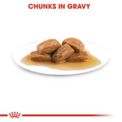 ROYAL CANIN® Maxi Large Breed Adult In Gravy Wet Dog Food 15 ROYAL CANIN® Maxi Large Breed Adult In Gravy Wet Dog Food -Danish Design || Scruffs || Great&Small Sales humhe8o4xkluqg5sotdc