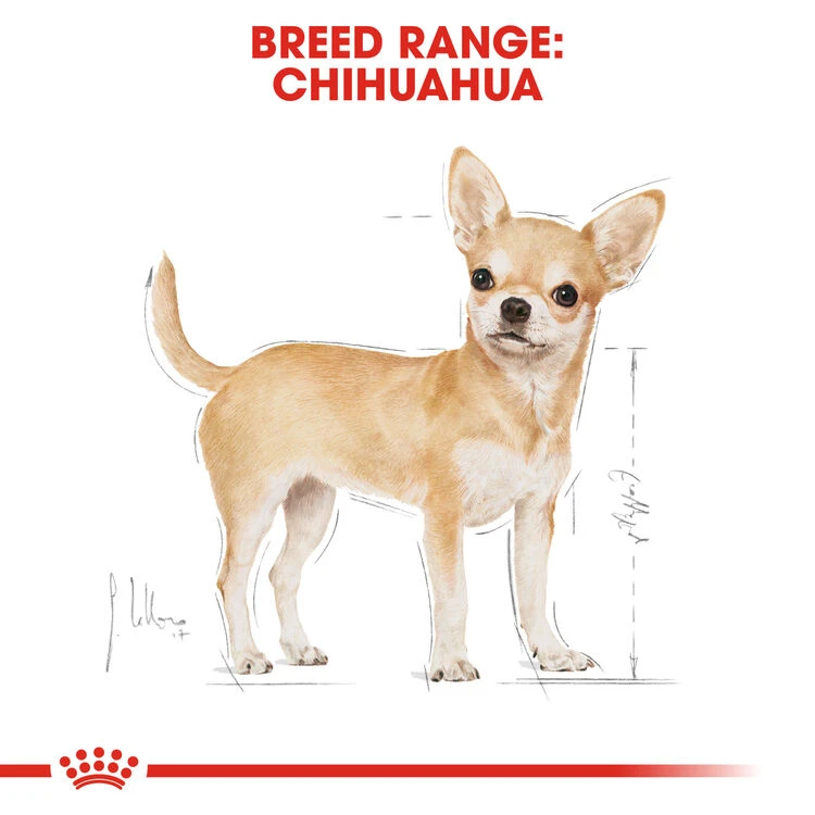 ROYAL CANIN® Chihuahua Adult Dry Dog Food 5 ROYAL CANIN® Chihuahua Adult Dry Dog Food - Image 3