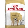 ROYAL CANIN® Bulldog Adult Dry Dog Food 1 ROYAL CANIN® Bulldog Adult Dry Dog Food -Danish Design || Scruffs || Great&Small Sales ie7sort097pzbmdzpssw