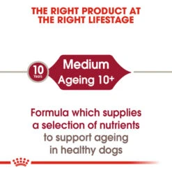 ROYAL CANIN® Medium Ageing 10+ Senior In Gravy Wet Dog Food 17 ROYAL CANIN® Medium Ageing 10+ Senior In Gravy Wet Dog Food -Danish Design || Scruffs || Great&Small Sales im3wb8d3a656oklgkqpj
