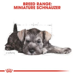 ROYAL CANIN® Miniature Schnauzer Puppy Dry Food -Danish Design || Scruffs || Great&Small Sales ivrotnr0f4roox0da5yh
