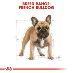 ROYAL CANIN® French Bulldog Adult Dry Dog Food -Danish Design || Scruffs || Great&Small Sales iwpp4a68wunfhy3dpc1f