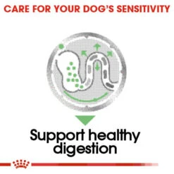 ROYAL CANIN® Digestive Care Wet Pouches All Breeds Adult Dog Food 14 ROYAL CANIN® Digestive Care Wet Pouches All Breeds Adult Dog Food -Danish Design || Scruffs || Great&Small Sales izhmyfbrhwrokvytz24g