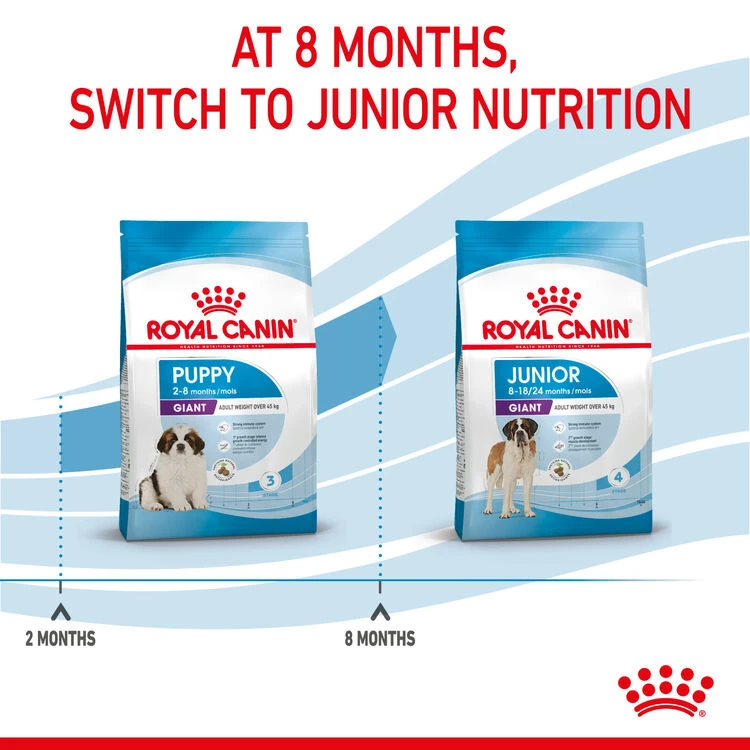 ROYAL CANIN® Giant Breeds Puppy Dry Food 9 ROYAL CANIN® Giant Breeds Puppy Dry Food - Image 7