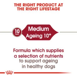 ROYAL CANIN® Medium Ageing 10+ Senior Dry Dog Food -Danish Design || Scruffs || Great&Small Sales krfhnimczhfbrvmjzfjr