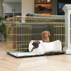 Lords & Labradors Cosy & Calm Puppy Box Bed Ivory Boucle -Danish Design || Scruffs || Great&Small Sales lords and labradors cosy and calm gold crate ivory boucle richard bernard close 7624aa91 3c48 437b a79e b19d55f91c3d