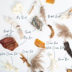 Lords & Labradors Natural Graze Essential Treat Box 5 Lords & Labradors Natural Graze Essential Treat Box -Danish Design || Scruffs || Great&Small Sales lords and labradors natural treats box studio annotation a8e9c76c 72e4 41cb 8c5b 75de8719f8c4 1920x.progressive