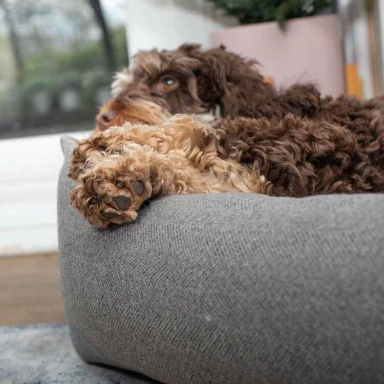 Lords & Labradors Luxury Tweed Dog Box Bed Pewter Herringbone 3 Lords & Labradors Luxury Tweed Dog Box Bed Pewter Herringbone - Image 2