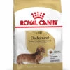 ROYAL CANIN® Dachshund Adult Dry Dog Food -Danish Design || Scruffs || Great&Small Sales mqdhjakhtkvp7yj2g3qy