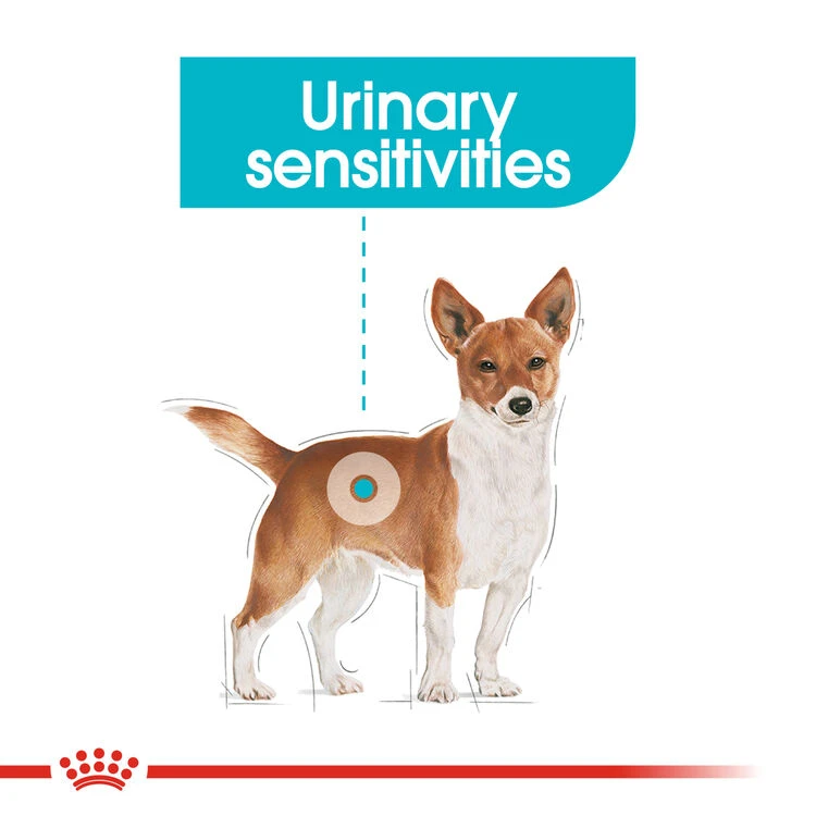ROYAL CANIN® Mini Urinary Care Adult Dry Dog Food 5 ROYAL CANIN® Mini Urinary Care Adult Dry Dog Food - Image 3