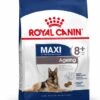 ROYAL CANIN® Maxi Large Breed Ageing 8+ Dry Dog Food -Danish Design || Scruffs || Great&Small Sales ne1ypwexrllztmx5xhme