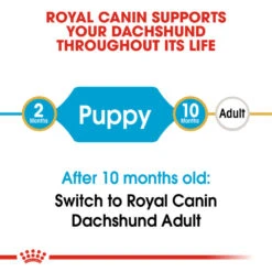 ROYAL CANIN® Dachshund Puppy Dry Food -Danish Design || Scruffs || Great&Small Sales ntkakrujnl1cvqb6chka