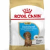 ROYAL CANIN® Dachshund Puppy Dry Food 1 ROYAL CANIN® Dachshund Puppy Dry Food -Danish Design || Scruffs || Great&Small Sales oaipbnc9udhizjfmrzqc