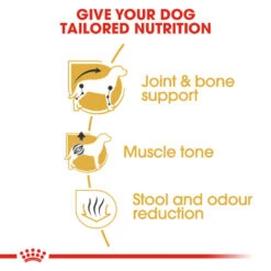 ROYAL CANIN® Dachshund Adult Dry Dog Food 14 ROYAL CANIN® Dachshund Adult Dry Dog Food -Danish Design || Scruffs || Great&Small Sales owpcj98gjrekptgw6bl9