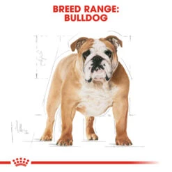 ROYAL CANIN® Bulldog Adult Dry Dog Food 12 ROYAL CANIN® Bulldog Adult Dry Dog Food -Danish Design || Scruffs || Great&Small Sales p1gb9kp27wxvujgyo9bu