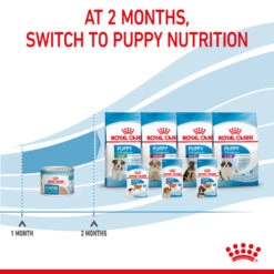 ROYAL CANIN® Starter Mother & Babydog Adult And Puppy Wet Food 21 ROYAL CANIN® Starter Mother & Babydog Adult And Puppy Wet Food -Danish Design || Scruffs || Great&Small Sales pe5kjk4mhomvkd21ktvn