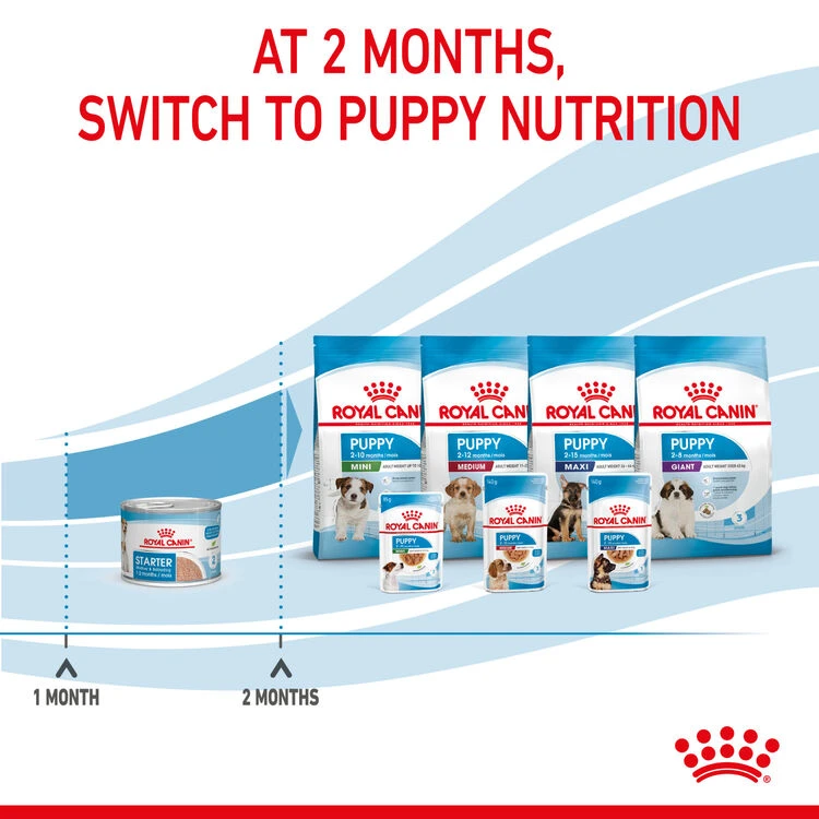 ROYAL CANIN® Starter Mother & Babydog Adult And Puppy Wet Food 11 ROYAL CANIN® Starter Mother & Babydog Adult And Puppy Wet Food - Image 9