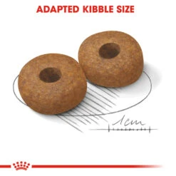 ROYAL CANIN® Medium Ageing 10+ Senior Dry Dog Food -Danish Design || Scruffs || Great&Small Sales ponc3feaejcjdhxrzbpv