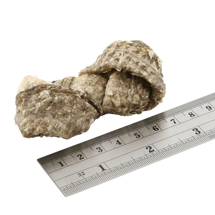 Fish4Dogs Sea Jerky Fish Knots Dog Treats 5 Fish4Dogs Sea Jerky Fish Knots Dog Treats - Image 3