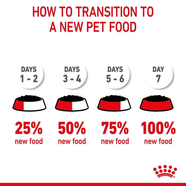ROYAL CANIN® Medium Puppy In Gravy Wet Food 13 ROYAL CANIN® Medium Puppy In Gravy Wet Food - Image 11