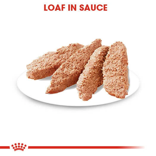 ROYAL CANIN® Dermacomfort Wet Pouches All Breeds Adult Dog Food 6 ROYAL CANIN® Dermacomfort Wet Pouches All Breeds Adult Dog Food - Image 4