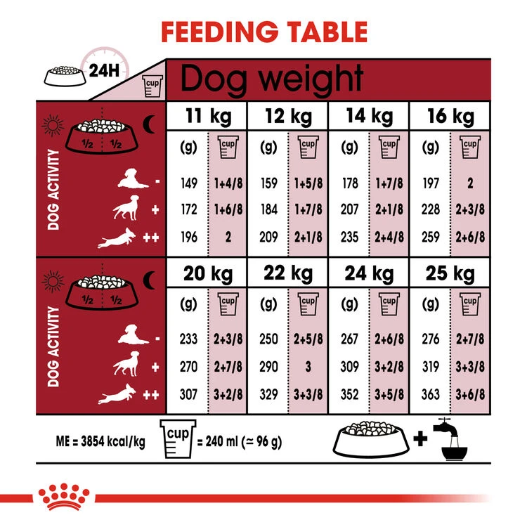 ROYAL CANIN® Medium Adult 7+ Dry Dog Food 7 ROYAL CANIN® Medium Adult 7+ Dry Dog Food - Image 5