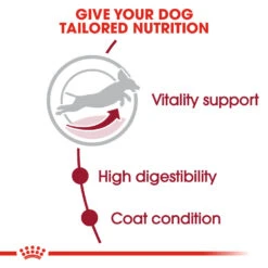 ROYAL CANIN® Medium Adult 7+ Dry Dog Food 17 ROYAL CANIN® Medium Adult 7+ Dry Dog Food -Danish Design || Scruffs || Great&Small Sales rbxfb8hp8dkmfarbn7ka