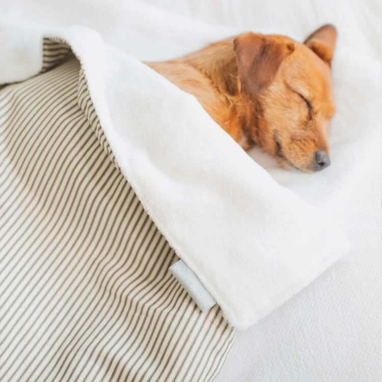 Lords & Labradors Cotton Dog Blanket Regency Stripe 3 Lords & Labradors Cotton Dog Blanket Regency Stripe