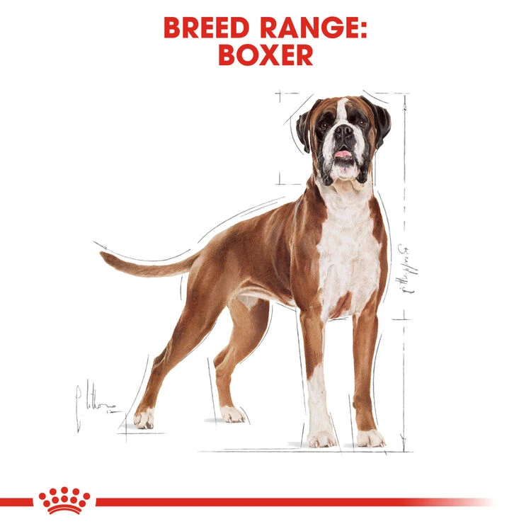 ROYAL CANIN® Boxer Adult Dry Dog Food 5 ROYAL CANIN® Boxer Adult Dry Dog Food - Image 3