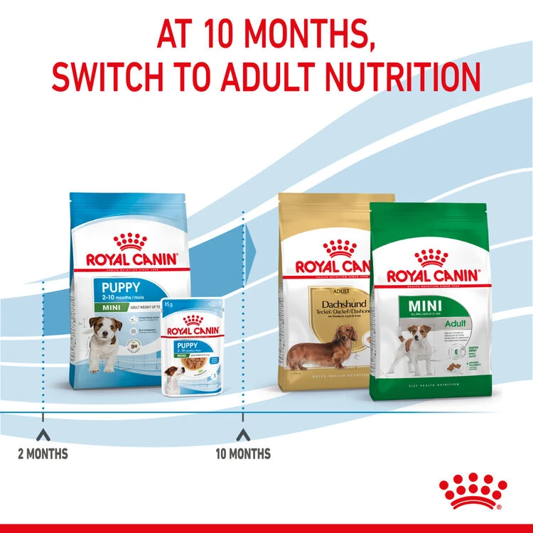 ROYAL CANIN® Mini Puppy Dry Dog Food 9 ROYAL CANIN® Mini Puppy Dry Dog Food - Image 7