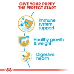 ROYAL CANIN® Labrador Retriever Puppy Dry Food 15 ROYAL CANIN® Labrador Retriever Puppy Dry Food -Danish Design || Scruffs || Great&Small Sales s2tunumqxjzg5gsyaj63