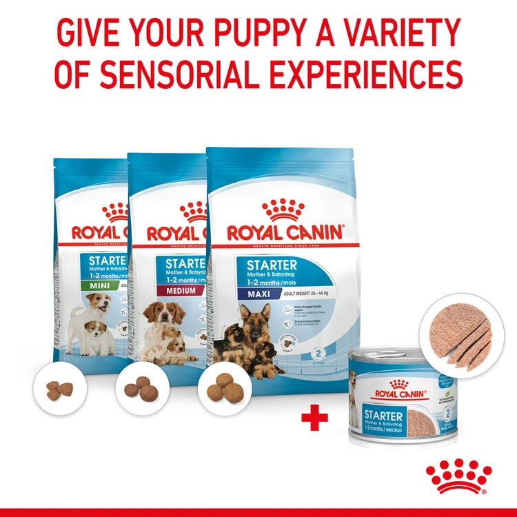 ROYAL CANIN® Starter Mother & Babydog Adult And Puppy Wet Food 8 ROYAL CANIN® Starter Mother & Babydog Adult And Puppy Wet Food - Image 6