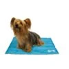 Animate Cooling Mat In Blue 2 Animate Cooling Mat In Blue -Danish Design || Scruffs || Great&Small Sales small dog aquablue