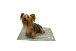 Animate Cooling Mat In Grey