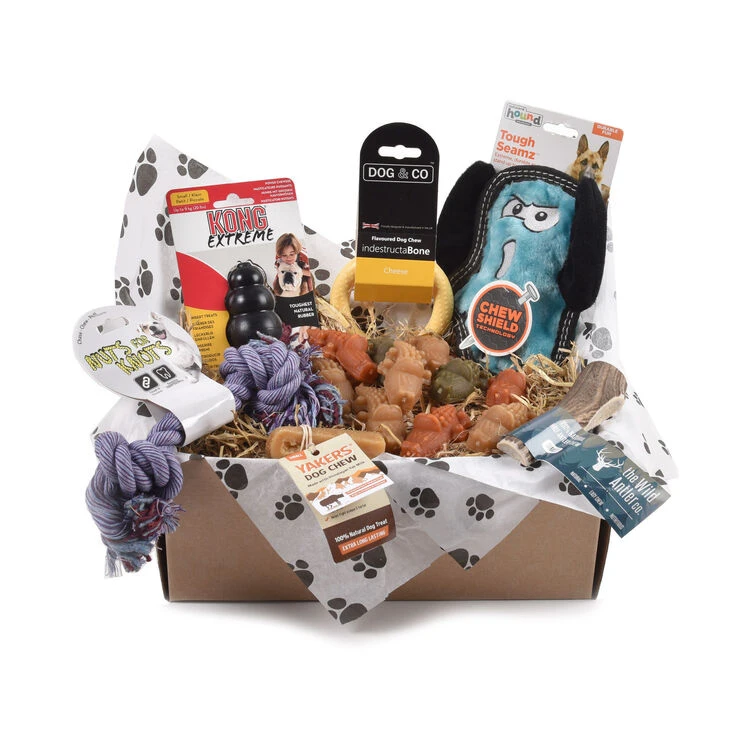 Tough Toy & Treats Subscription Box For Small Dogs 3 Tough Toy & Treats Subscription Box For Small Dogs