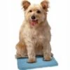 SnuggleSafe Instant Cooling Pad For Pets 1 SnuggleSafe Instant Cooling Pad For Pets -Danish Design || Scruffs || Great&Small Sales snugglesafe cool pad