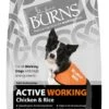 Burns Active Adult Chicken & Rice Working Dog Food 12kg 1 Burns Active Adult Chicken & Rice Working Dog Food 12kg -Danish Design || Scruffs || Great&Small Sales tpe food