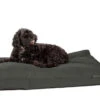 Danish Design Antibacterial Dog Bed In Green 2 Danish Design Antibacterial Dog Bed In Green -Danish Design || Scruffs || Great&Small Sales tpe green 2