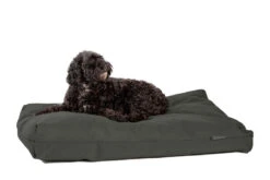 Danish Design Antibacterial Dog Bed In Green