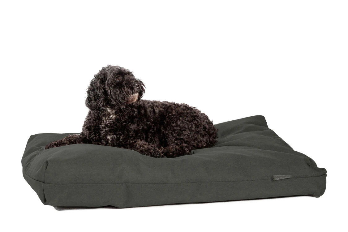 Danish Design Antibacterial Dog Bed In Green 3 Danish Design Antibacterial Dog Bed In Green