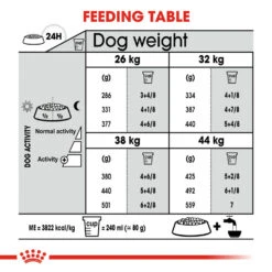 ROYAL CANIN® Maxi Large Breed Dental Care Adult Dry Dog Food -Danish Design || Scruffs || Great&Small Sales u1q4wgiaion8z10chc4k